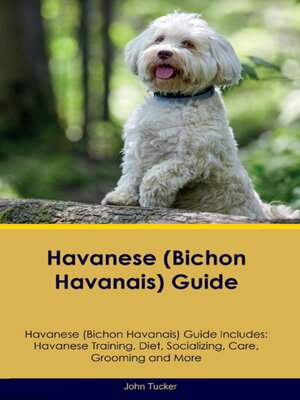 cover image of Havanese (Bichon Havanais) Guide Havanese Guide Includes